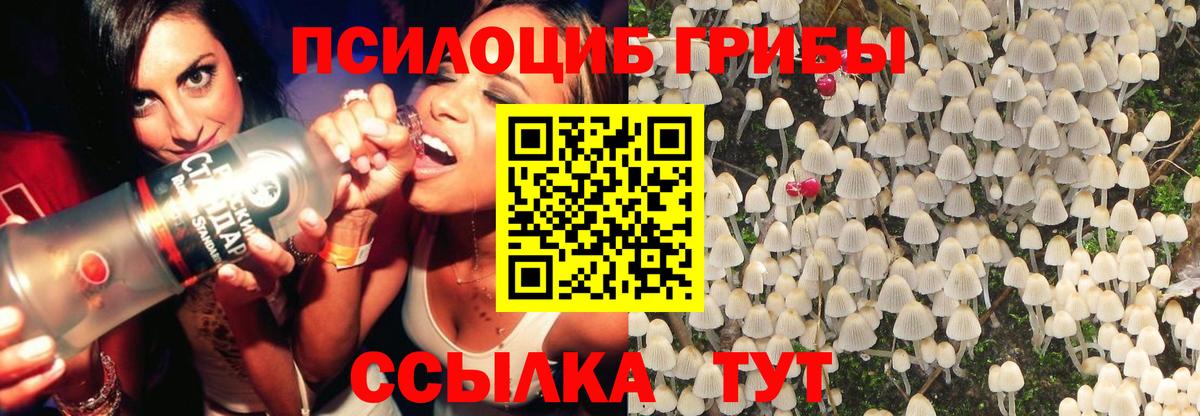 хочу   Вход с VPN  Арсеньев  Псилоцибиновые грибы Magic Shrooms 